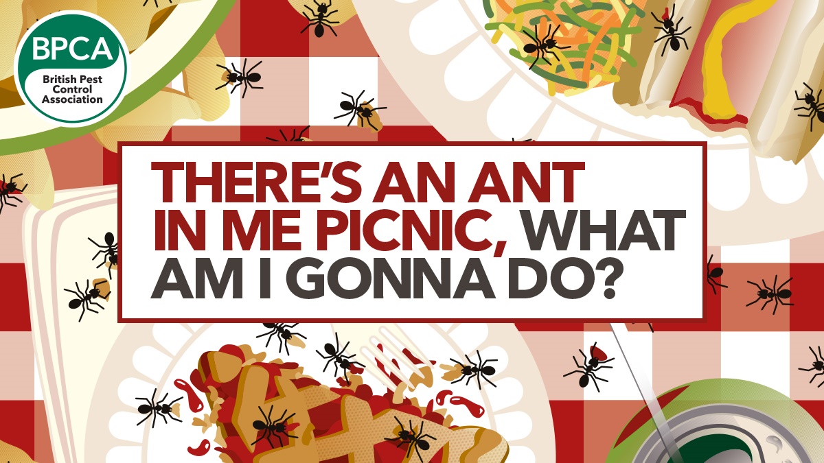 ant picnic hero